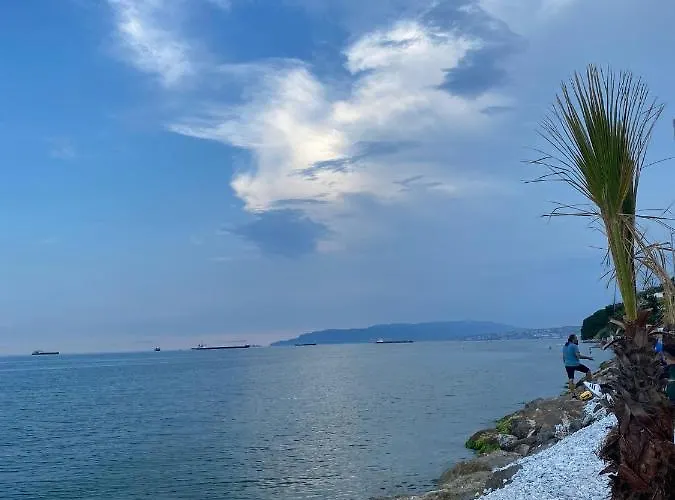 No Problem Pansiyon & Alkaya 2* Текирдаг